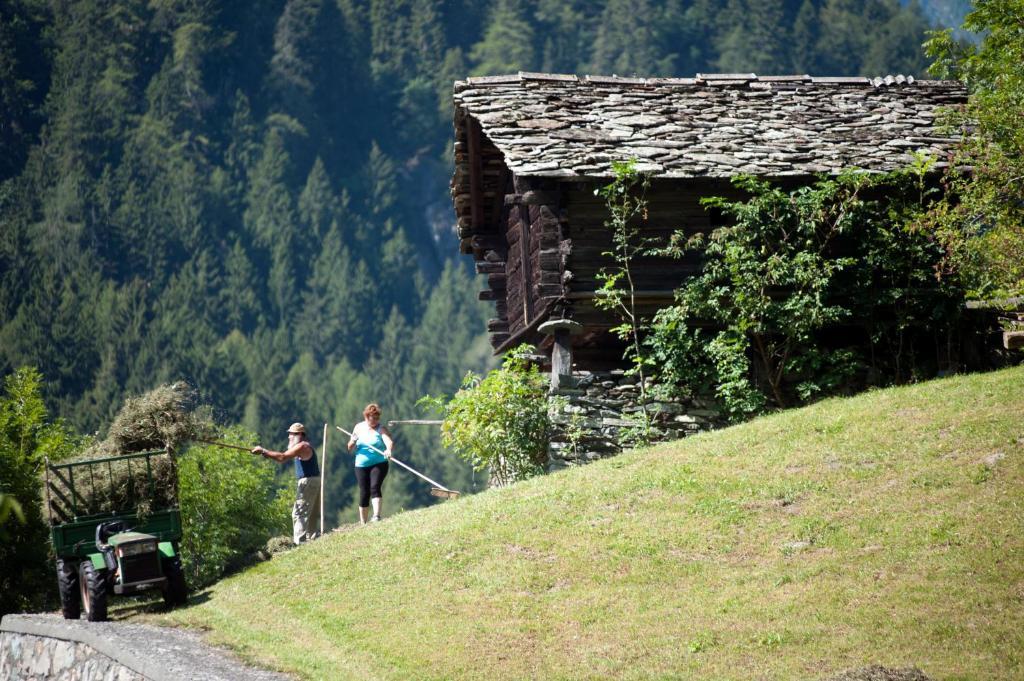 Albergo Castello Da Bonino Champorcher Δωμάτιο φωτογραφία